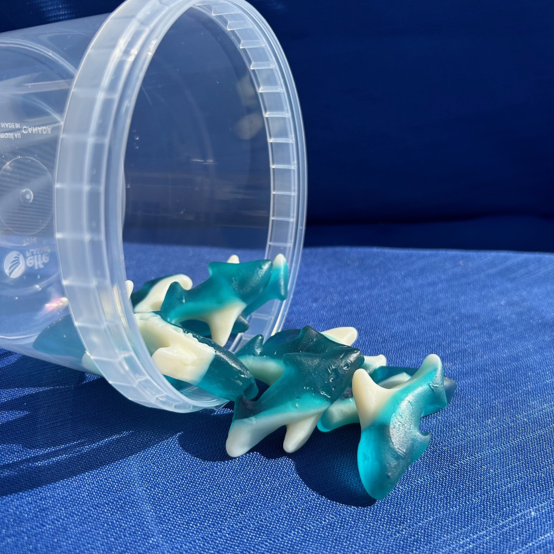 pot de bonbons requins a la framboise bleu
