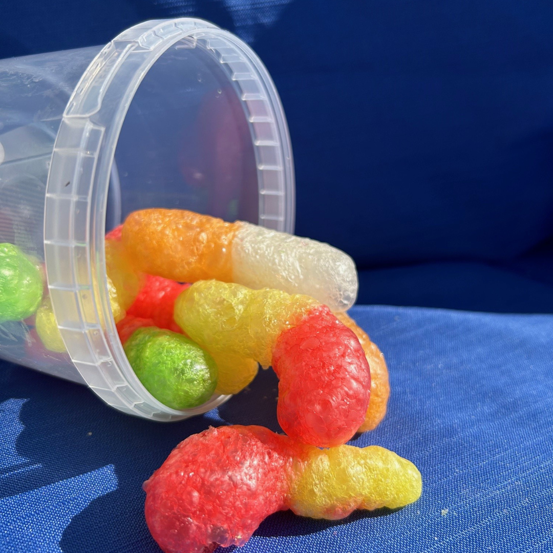 pot avec des bonbons vers de terre lyophilises
